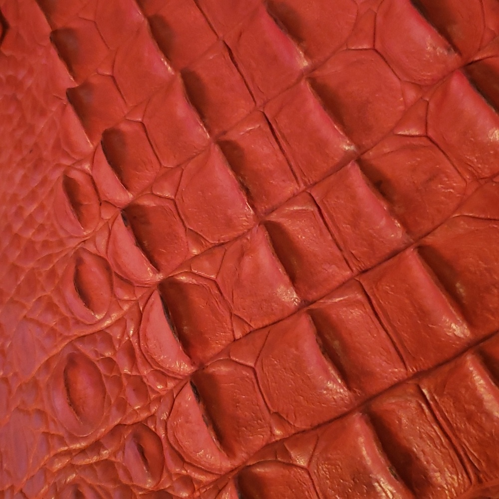 Alligator Purse View 4
